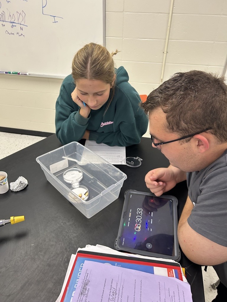 high school students observing the behavior of isopods in different environments