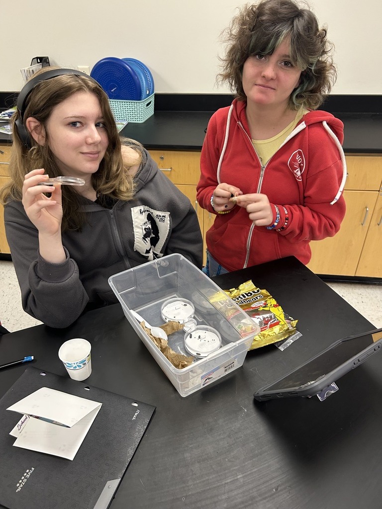 high school students observing the behavior of isopods in different environments