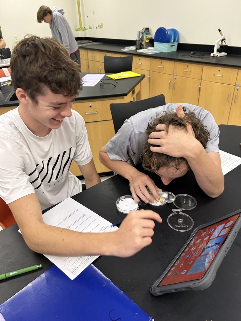 high school students observing the behavior of isopods in different environments