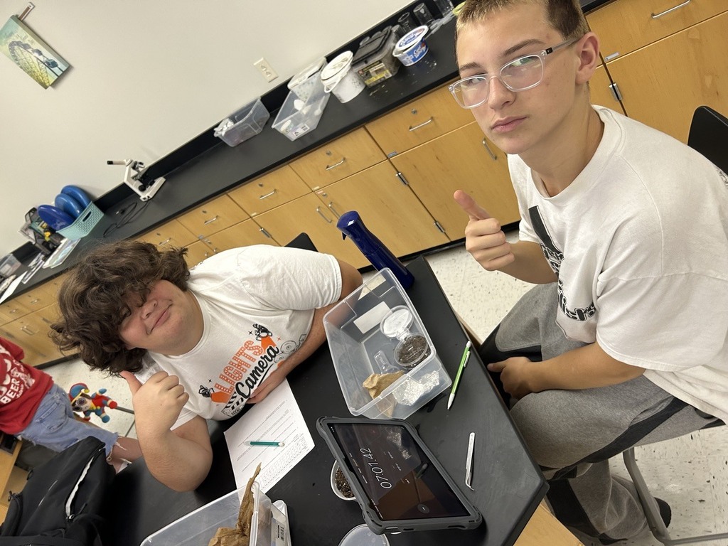 high school students observing the behavior of isopods in different environments