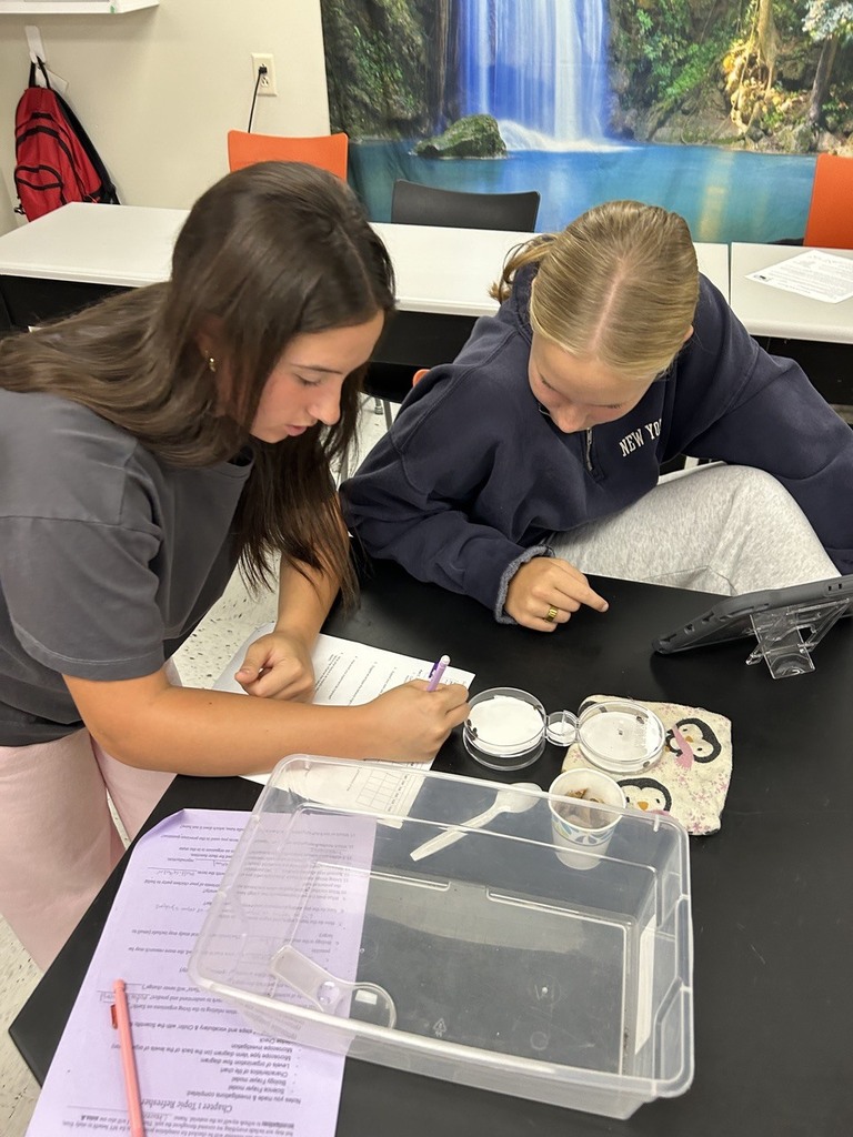 high school students observing the behavior of isopods in different environments