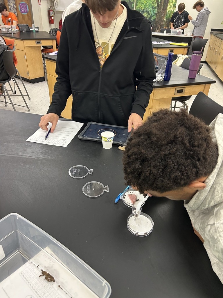 high school students observing the behavior of isopods in different environments