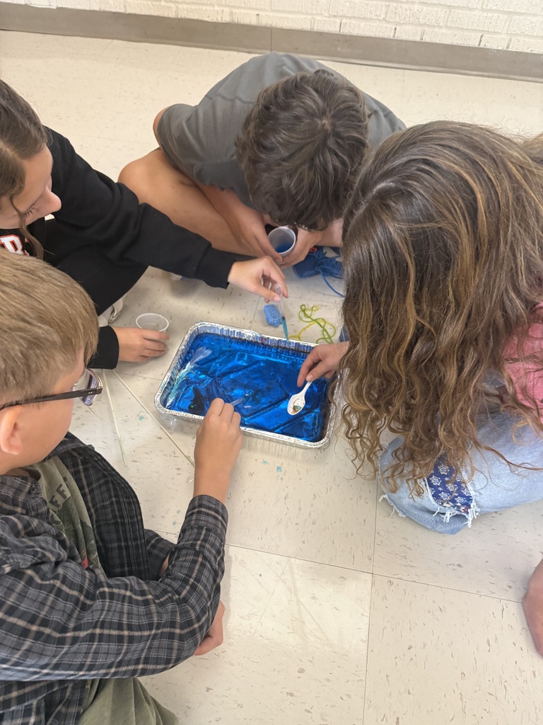 students experimenting with oil and dish soap