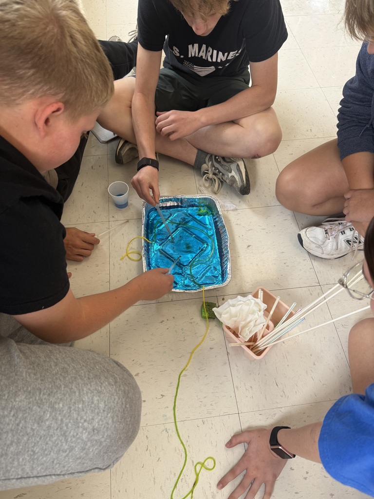 students experimenting with oil and dish soap