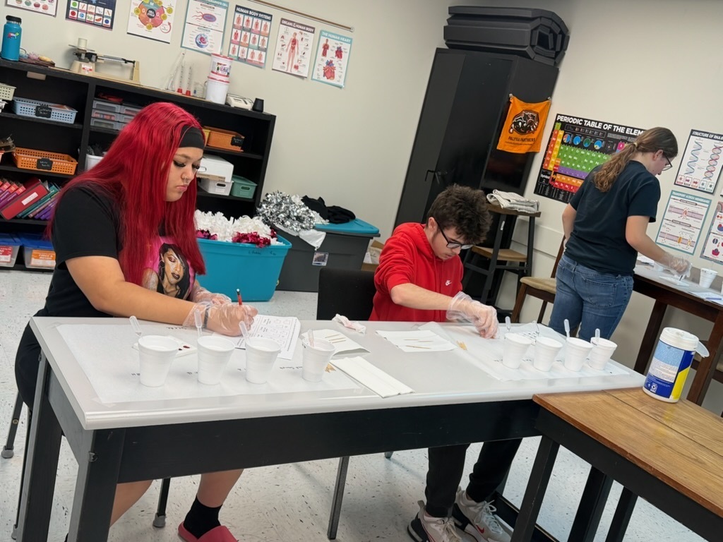 students doing a blood typing lab