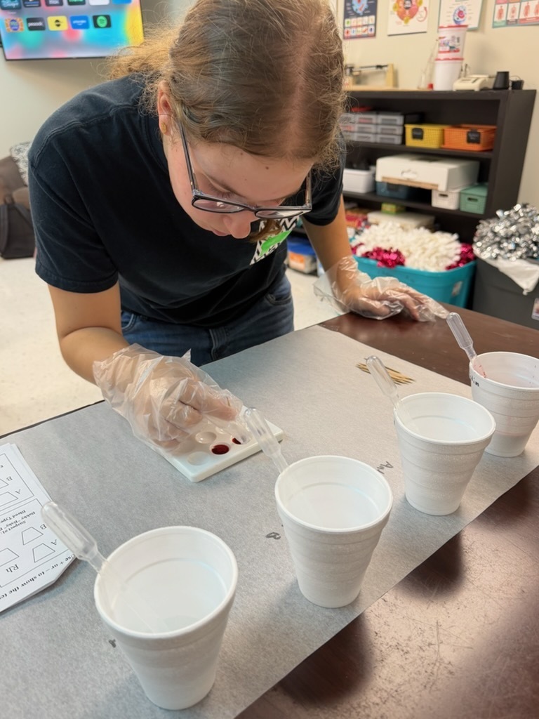 students doing a blood typing lab