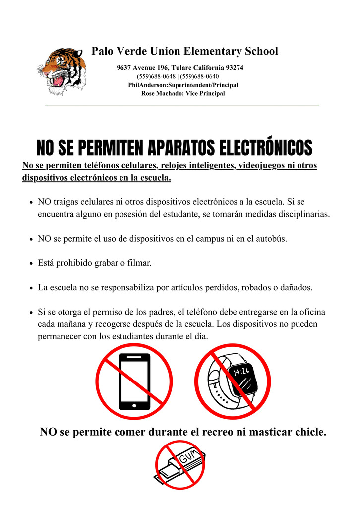 No electronic flyer spanish