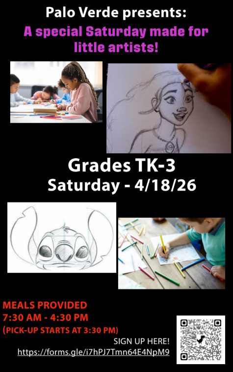 Sat camp Apr 18 primary