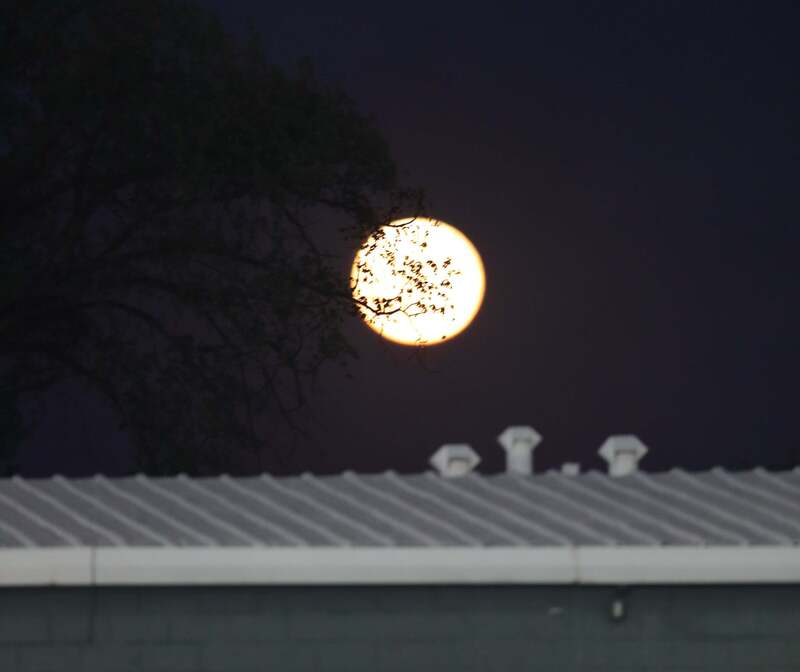 moon