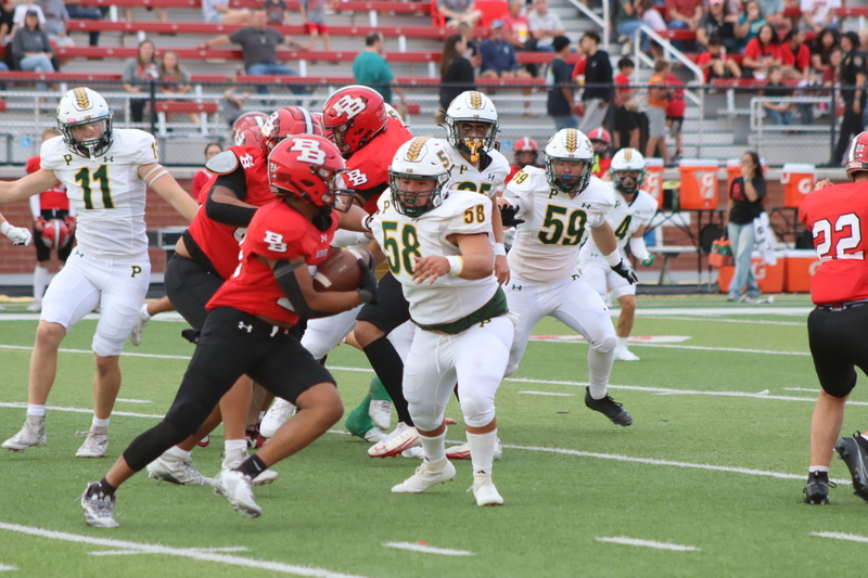 dline