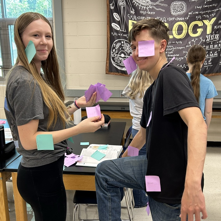 PHS Students learning body region terminology.