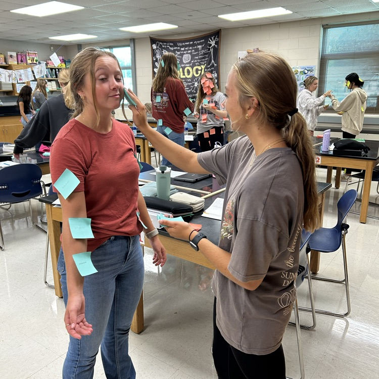 PHS Students learning body region terminology.