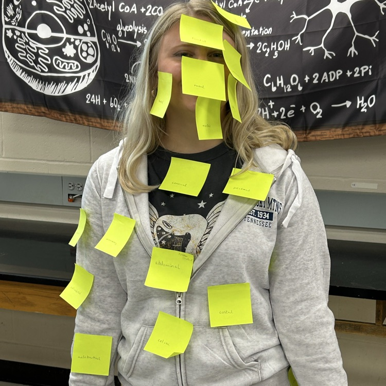 PHS Students learning body region terminology.