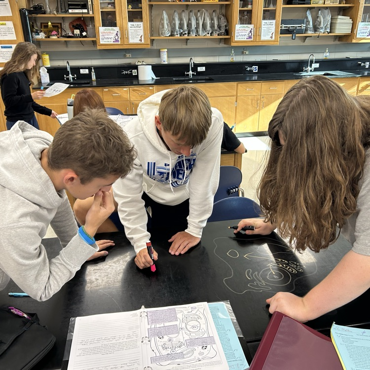 AP Bio students modeling protein synthesis.