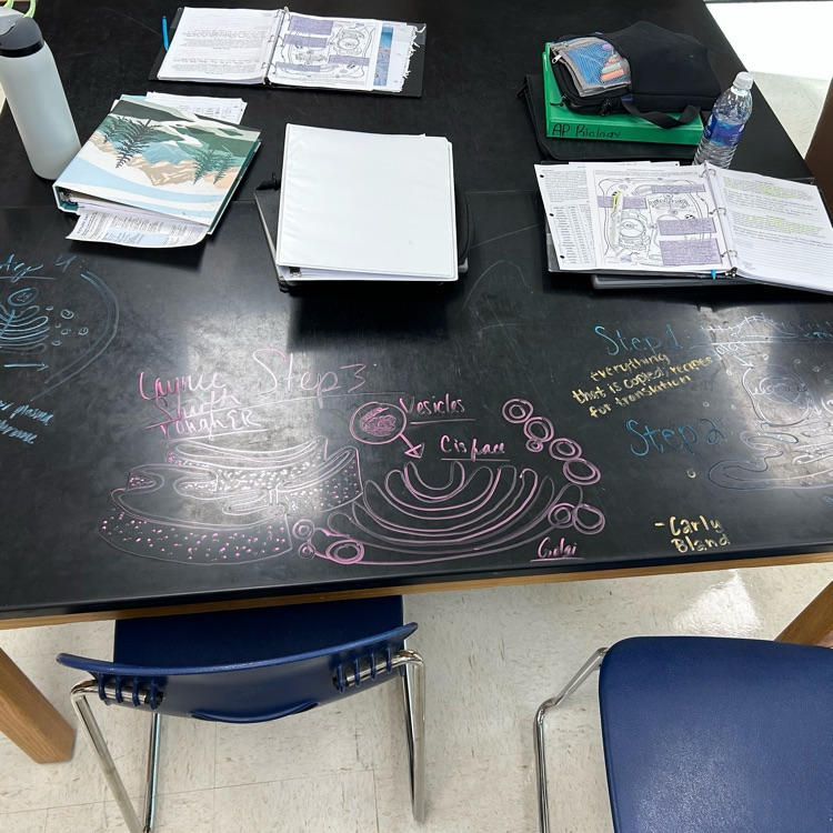AP Bio students modeling protein synthesis.