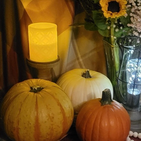 Still Life