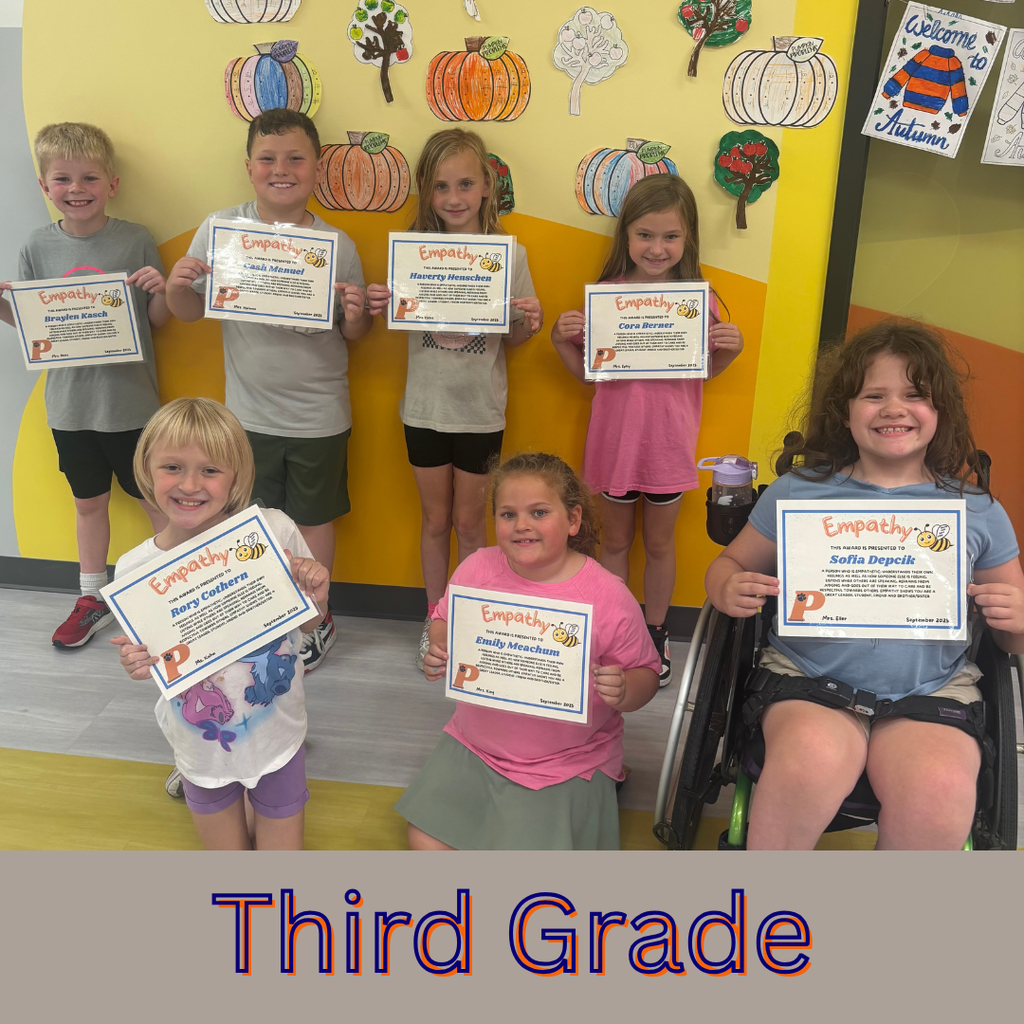 3rd grade