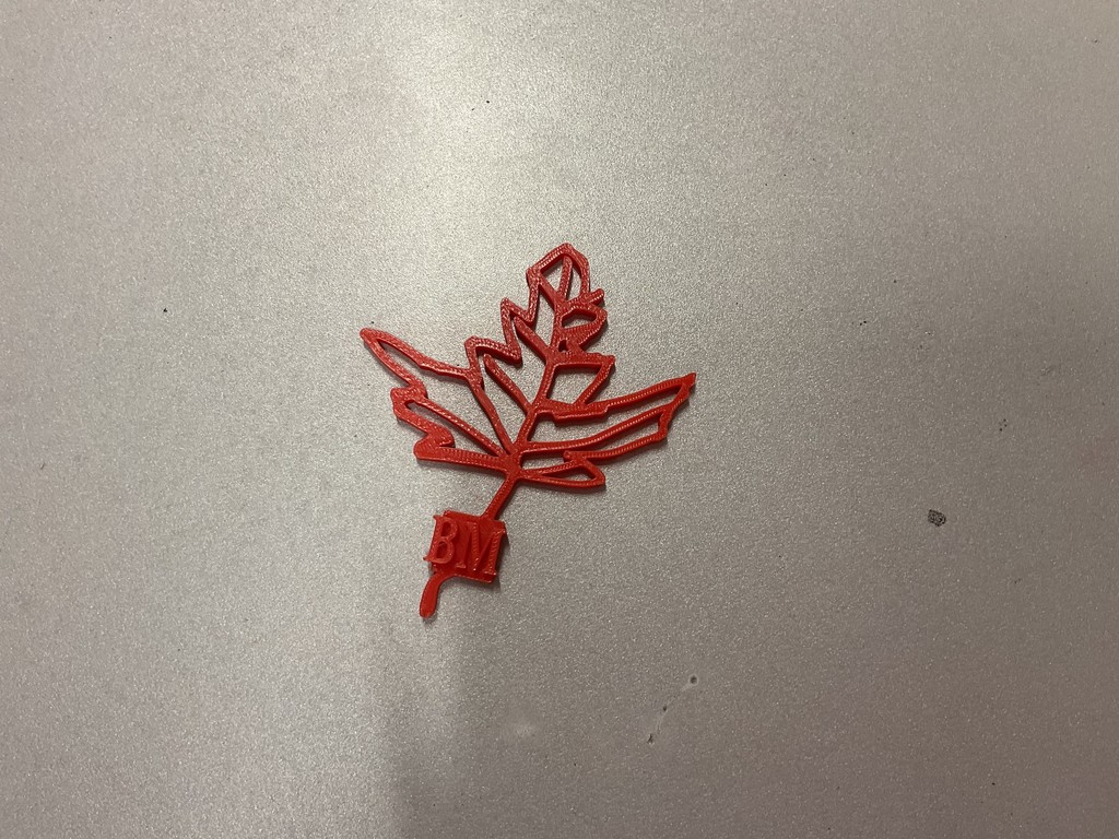 3D print
