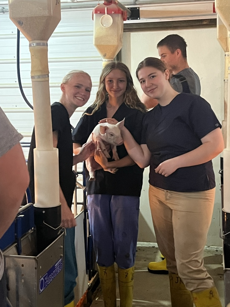 Shelby, Jadyn and Bailey in the farrowing barn