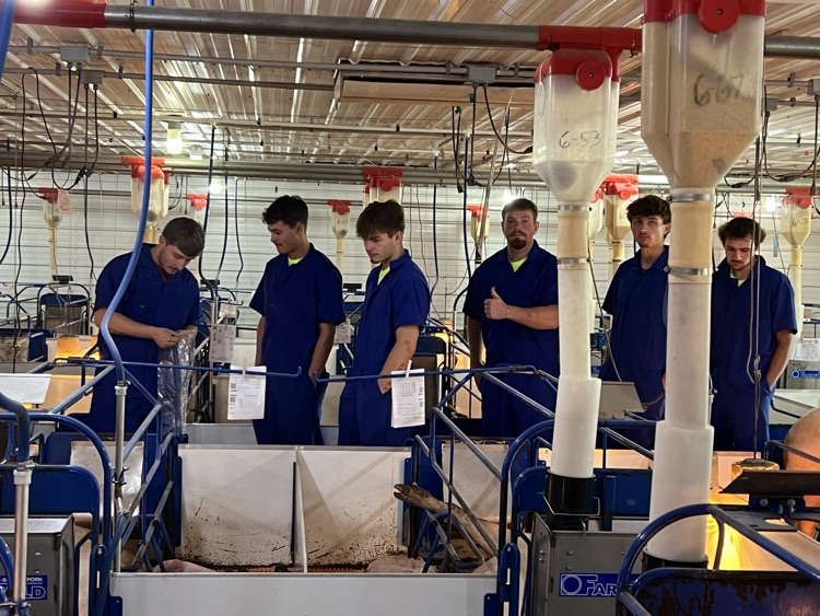 Learning more about the operation