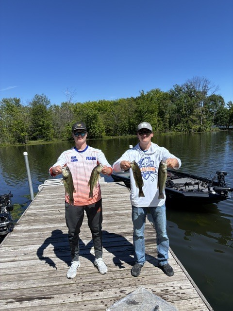 BAss