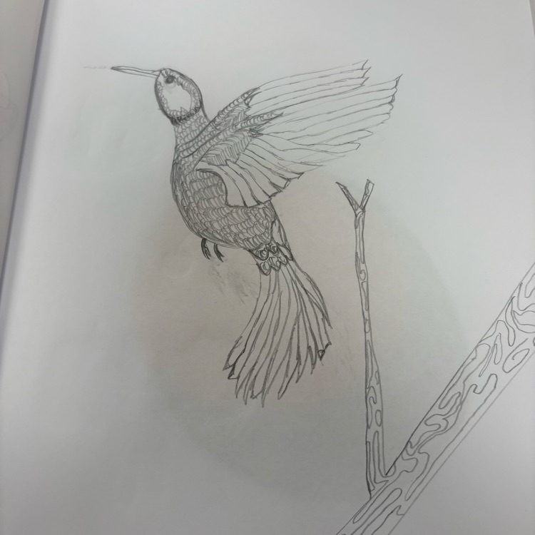 draw 1