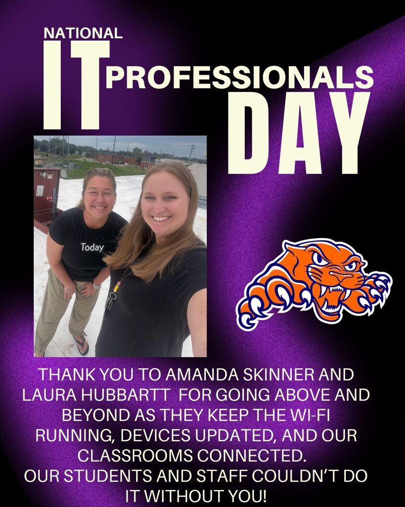 IT Professionals Day