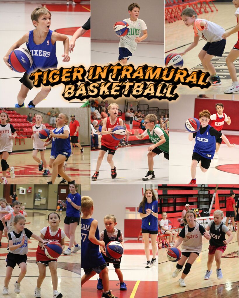 Intramural Basketball