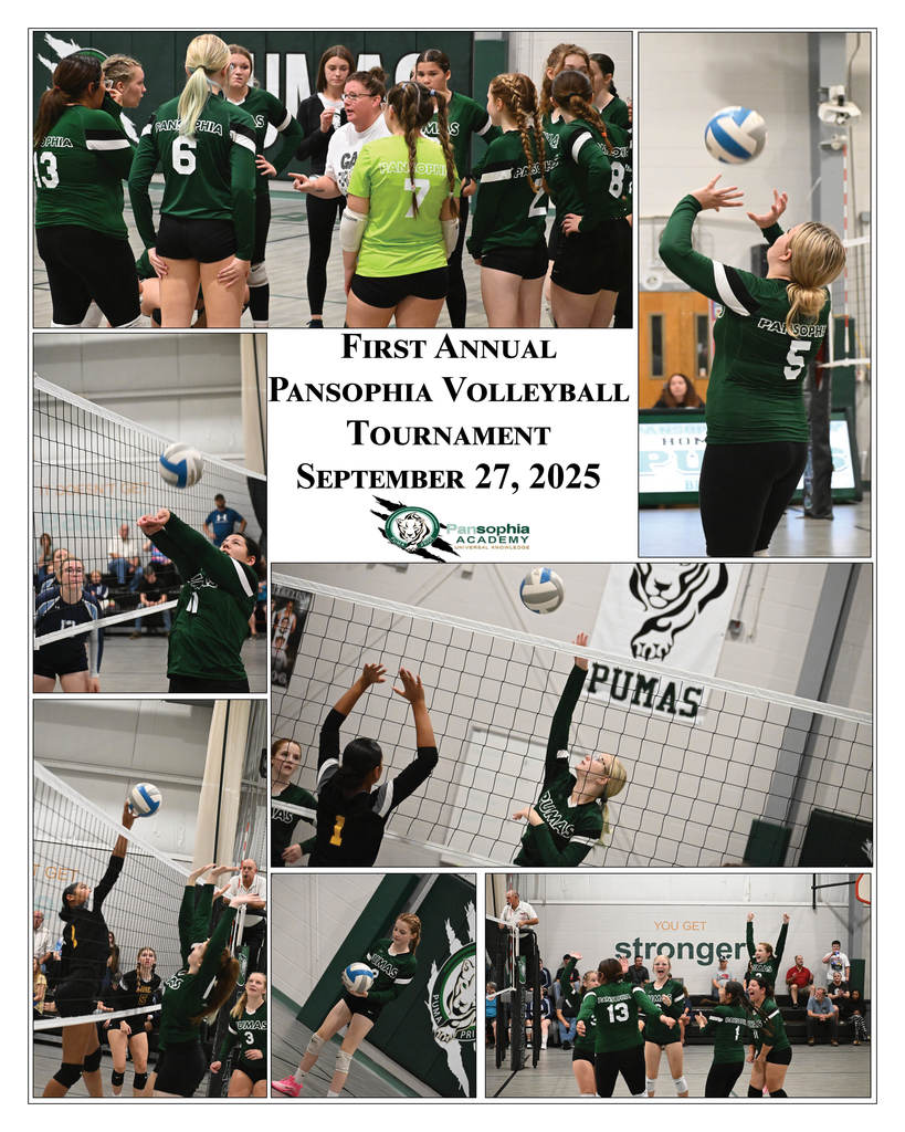 Volleyball