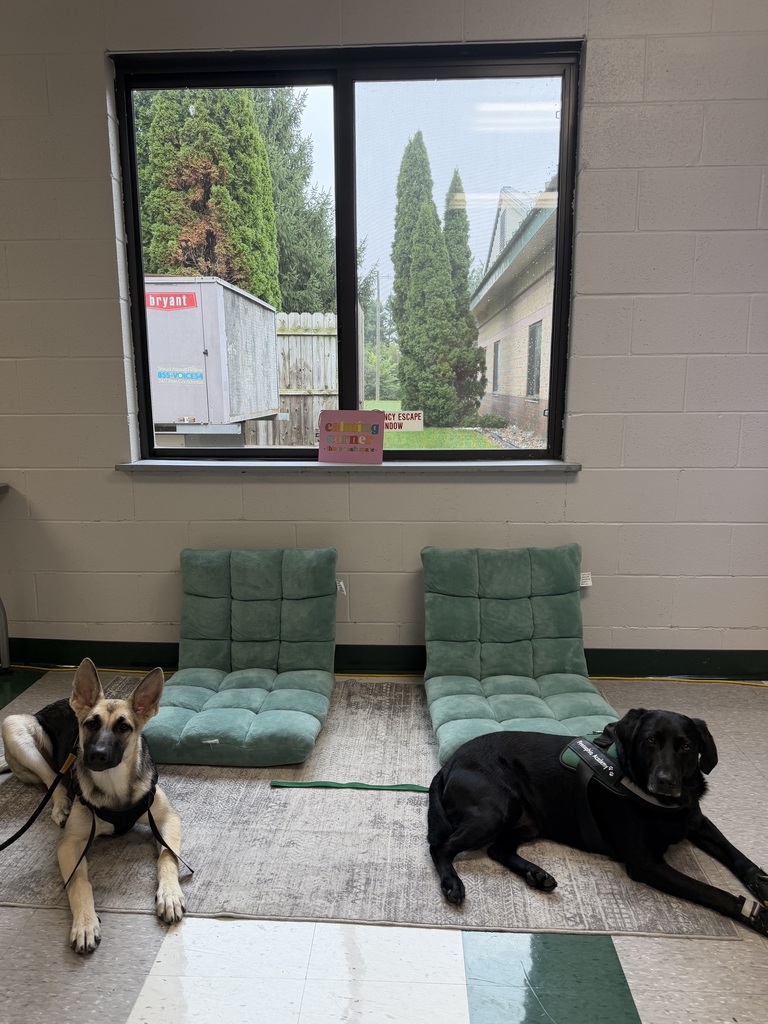 Jet and Stella