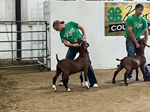 Photos of the Knox County Fair