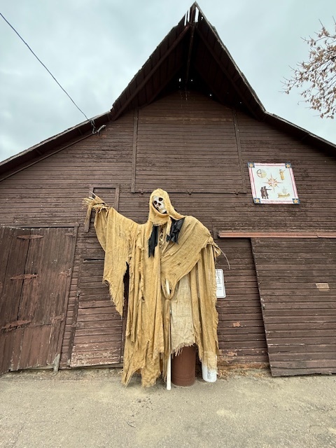 Lots of Halloween happenings going on