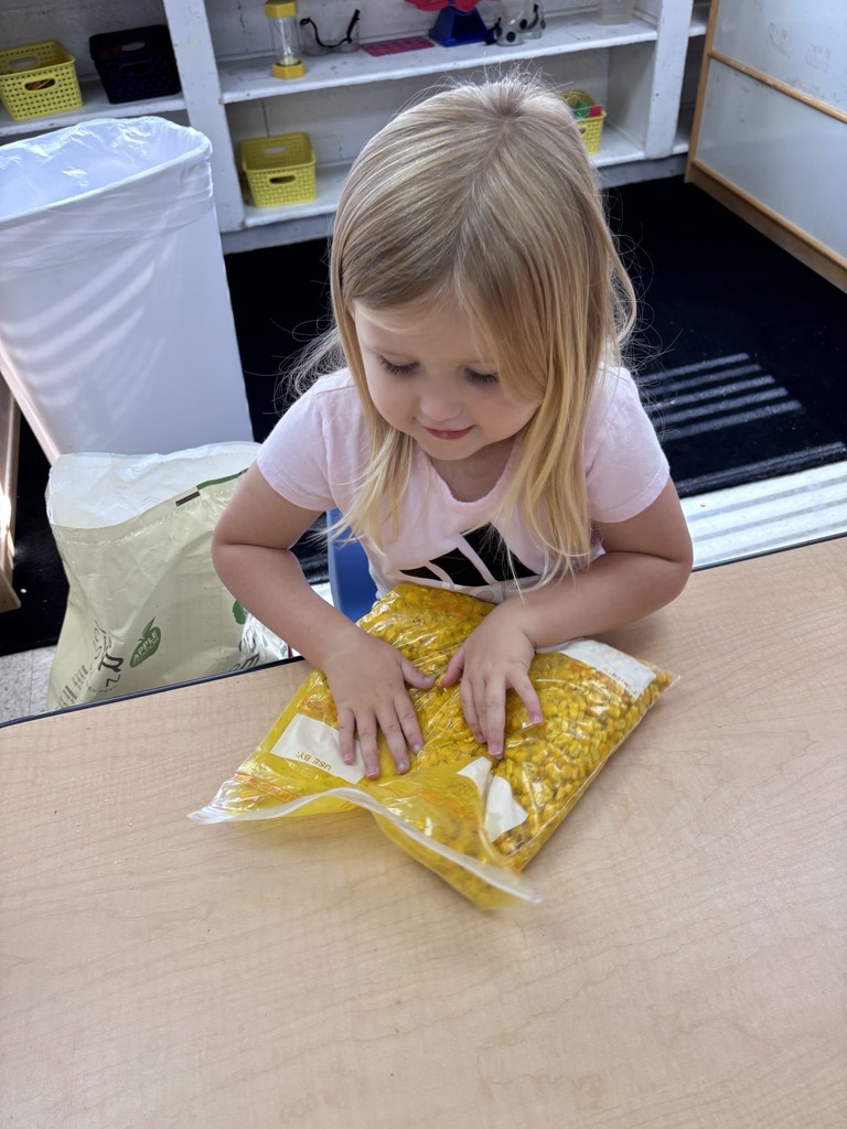 Sensory bin