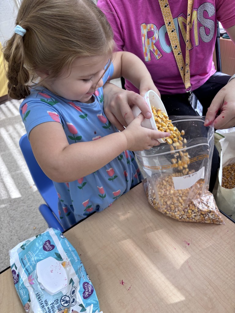 Sensory bin