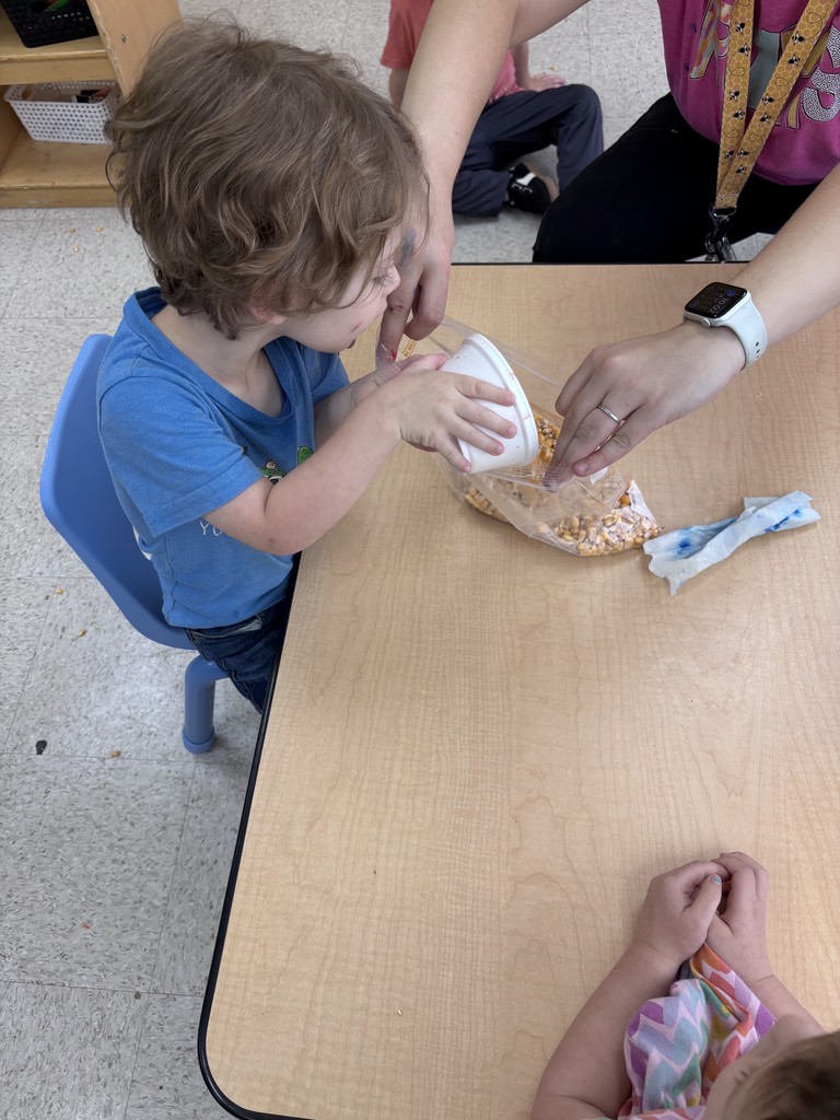 Sensory bin