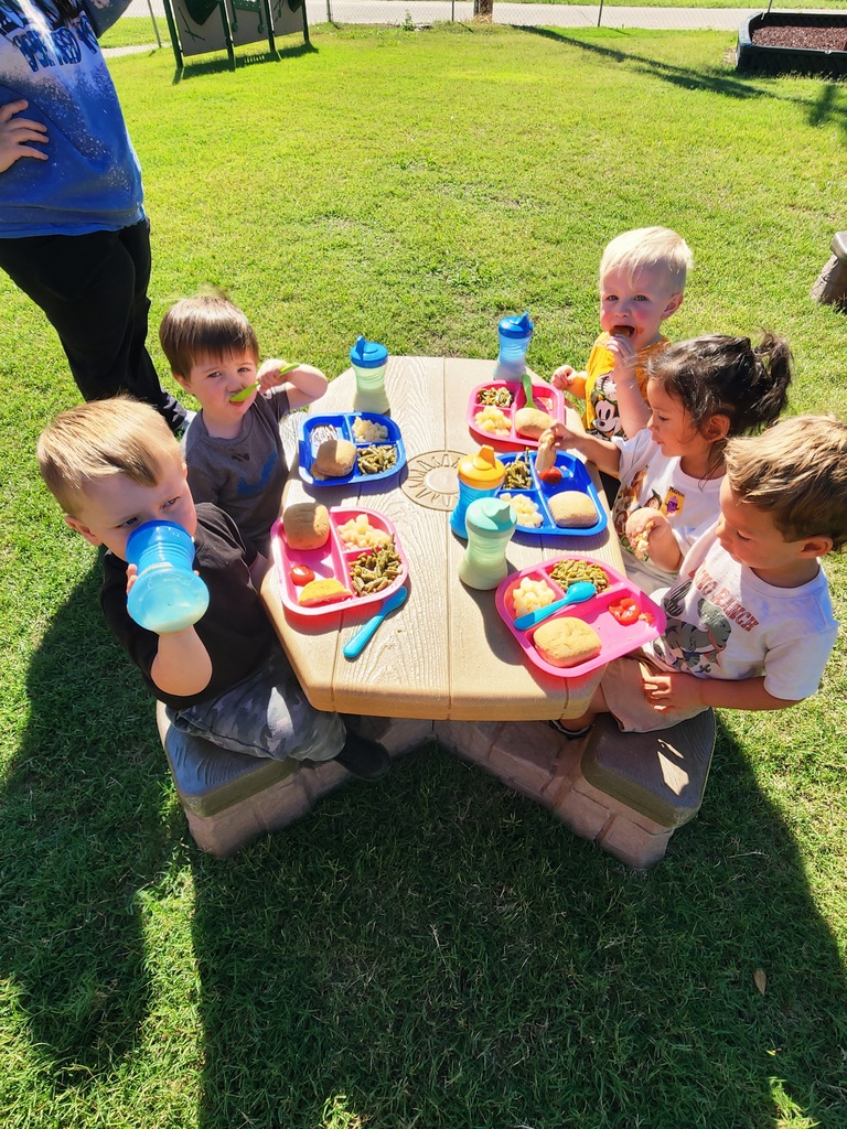 Picnic