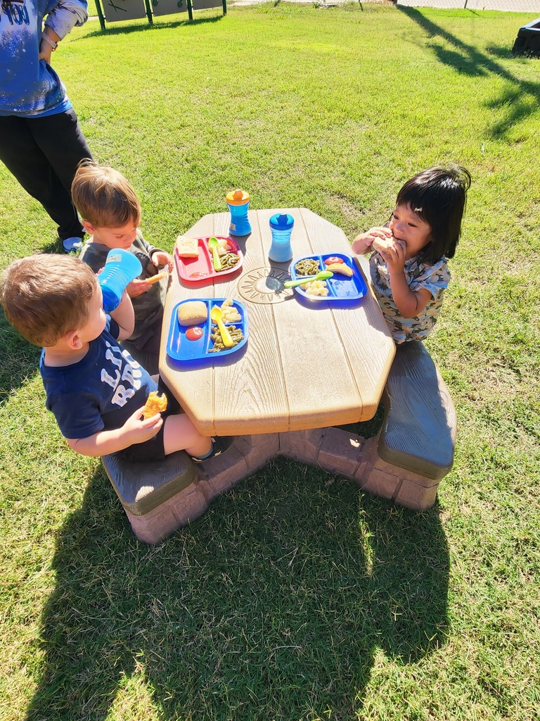 Picnic
