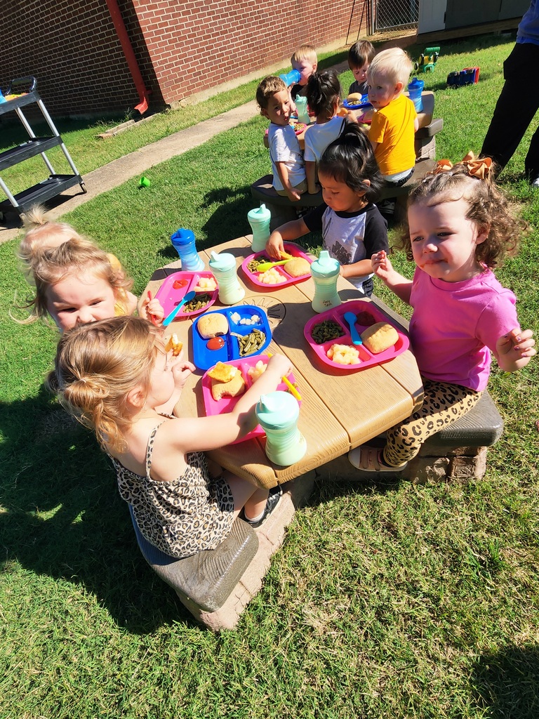 Picnic