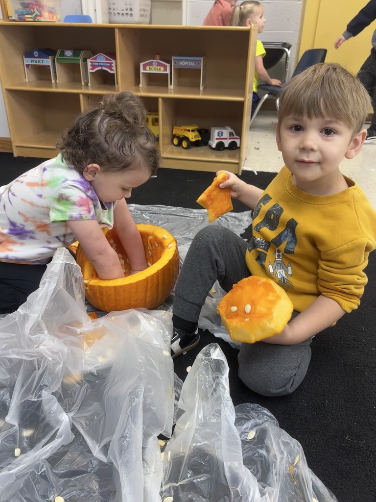 Pumpkin Exploration