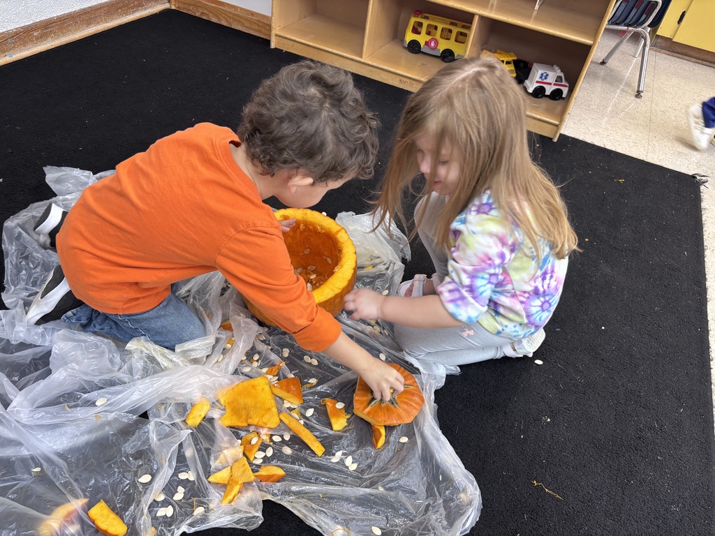 Pumpkin Exploration
