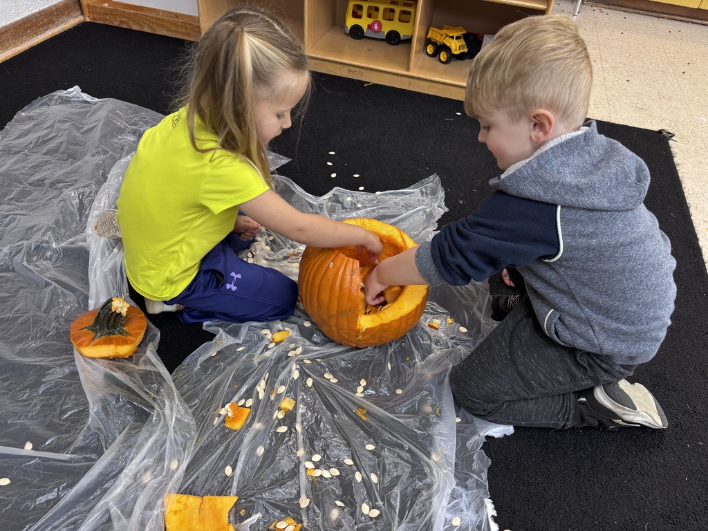 Pumpkin Exploration