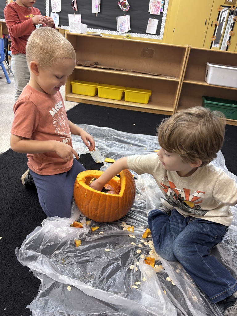 Pumpkin Exploration