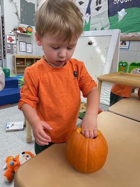 Pumpkin Exploration
