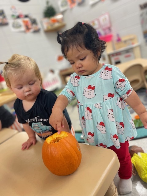 Pumpkin Exploration