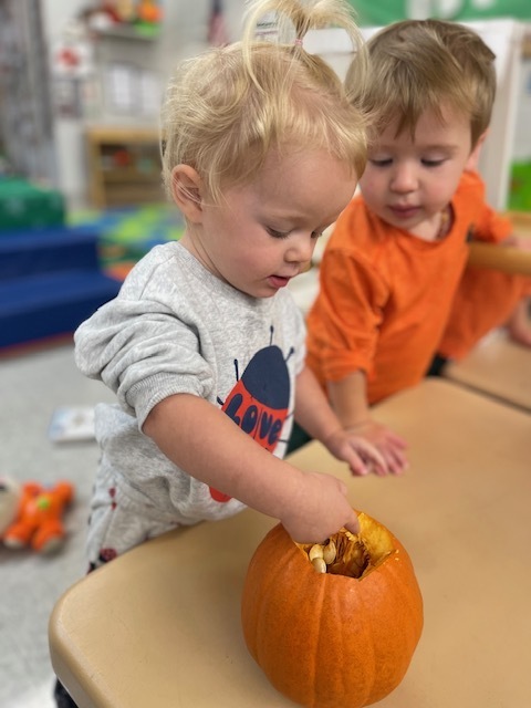 Pumpkin Exploration
