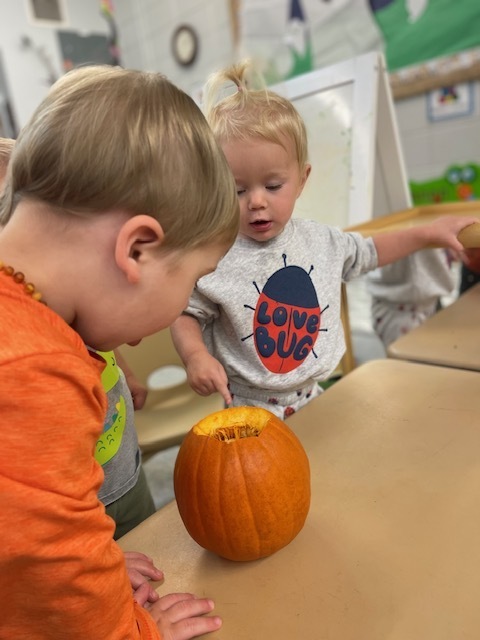 Pumpkin Exploration