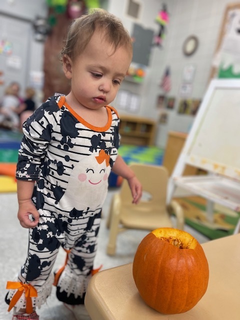Pumpkin Exploration