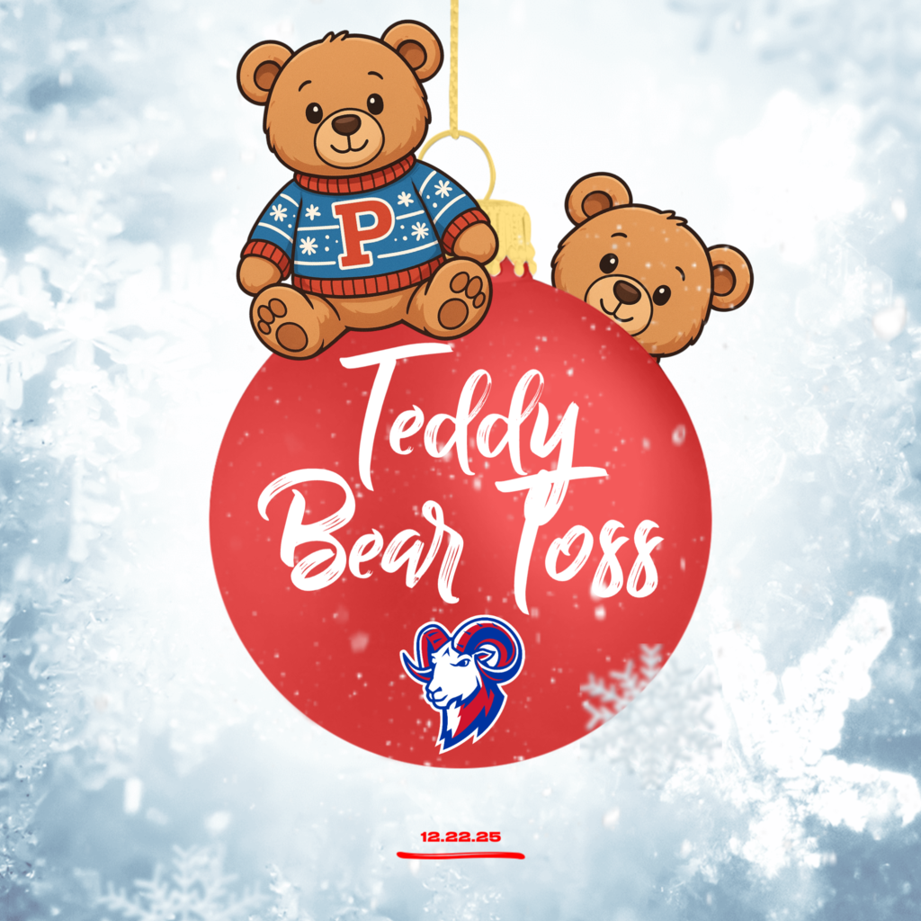 teddy bear toss 8481173