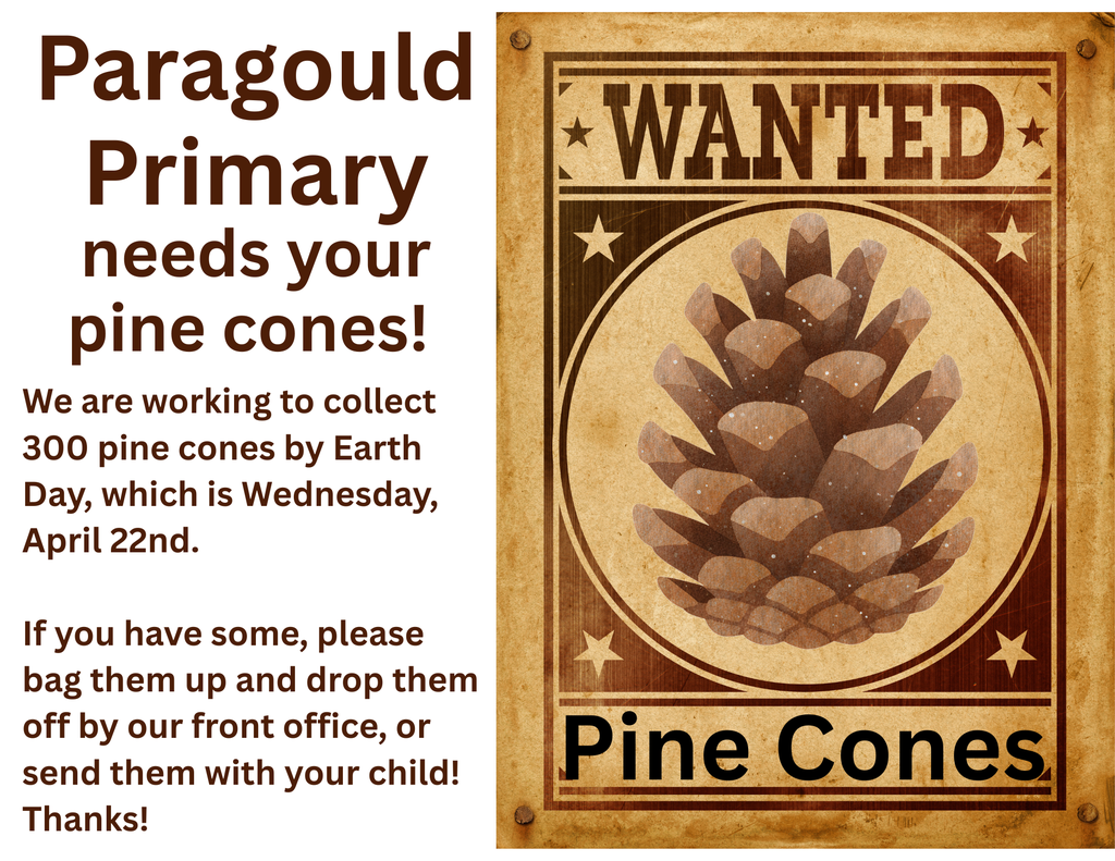 Pine Cones