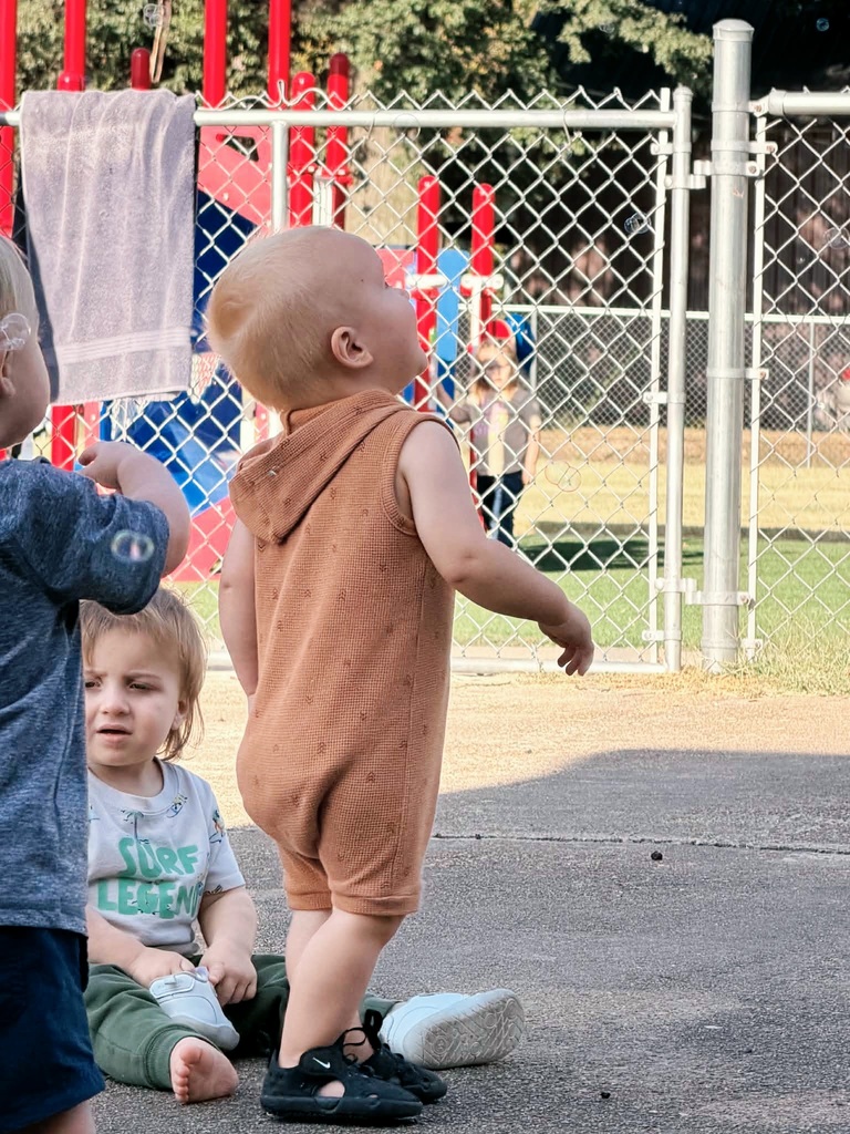 Bubble Fun